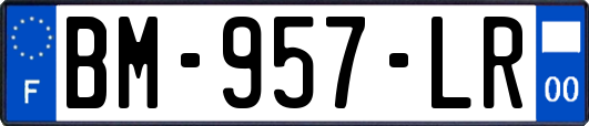 BM-957-LR