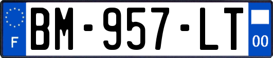 BM-957-LT