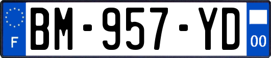 BM-957-YD