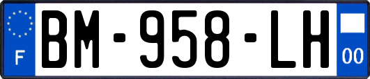 BM-958-LH