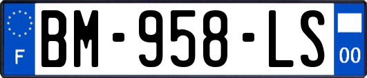 BM-958-LS