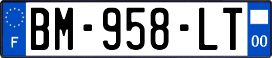 BM-958-LT