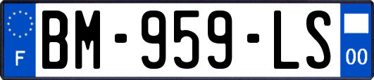 BM-959-LS