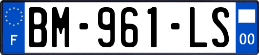 BM-961-LS