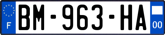 BM-963-HA