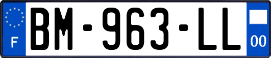 BM-963-LL