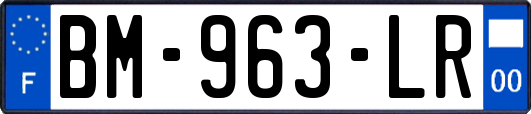 BM-963-LR