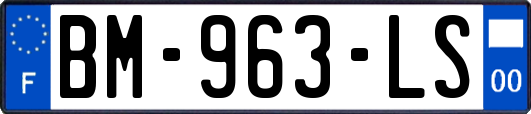 BM-963-LS