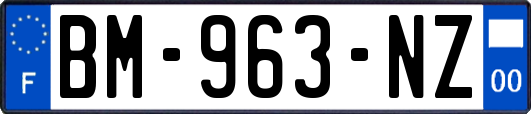 BM-963-NZ