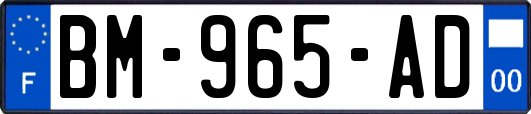 BM-965-AD