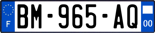 BM-965-AQ