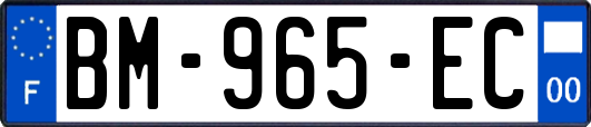 BM-965-EC