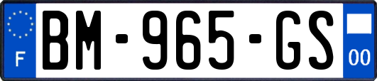 BM-965-GS