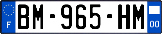 BM-965-HM
