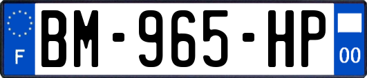 BM-965-HP