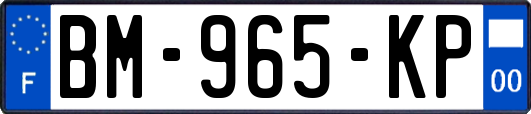 BM-965-KP