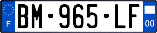BM-965-LF