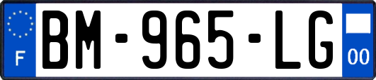 BM-965-LG