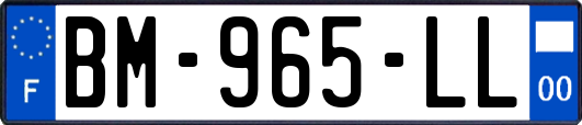 BM-965-LL
