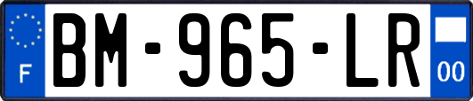 BM-965-LR