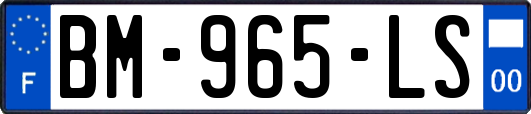 BM-965-LS