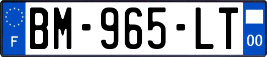 BM-965-LT