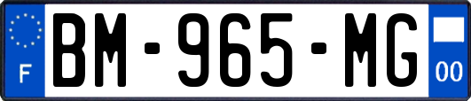 BM-965-MG