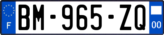 BM-965-ZQ