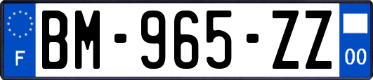 BM-965-ZZ