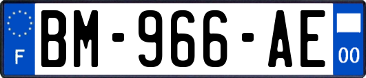 BM-966-AE