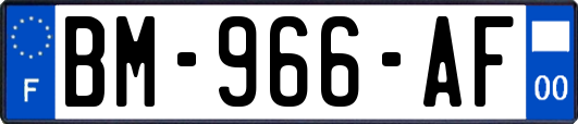 BM-966-AF