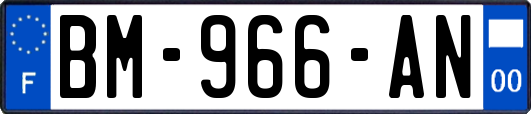 BM-966-AN