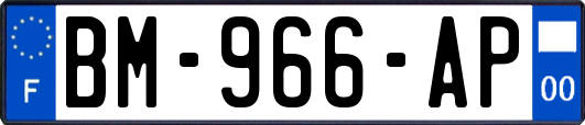 BM-966-AP