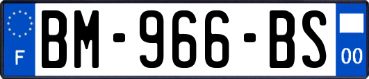 BM-966-BS