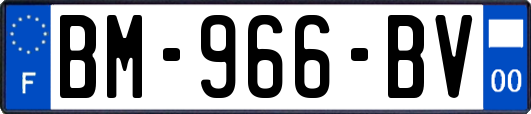 BM-966-BV