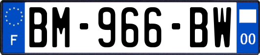 BM-966-BW