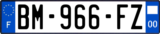 BM-966-FZ