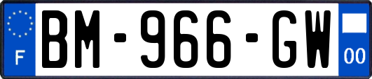 BM-966-GW