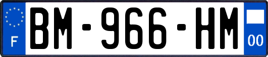 BM-966-HM
