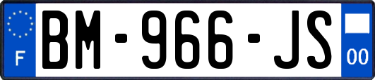 BM-966-JS