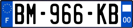 BM-966-KB