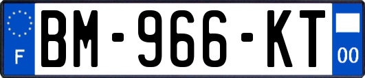 BM-966-KT