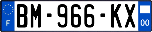 BM-966-KX