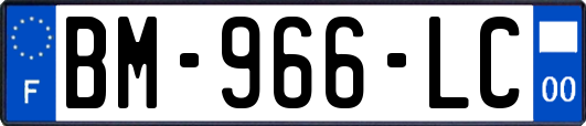BM-966-LC