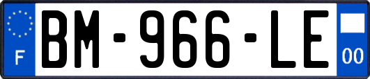 BM-966-LE