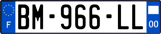 BM-966-LL