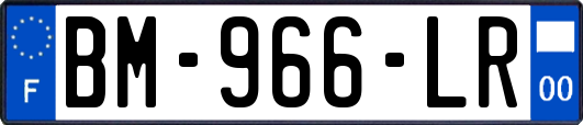 BM-966-LR