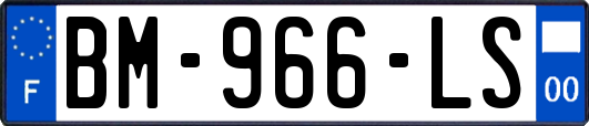 BM-966-LS