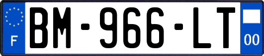 BM-966-LT