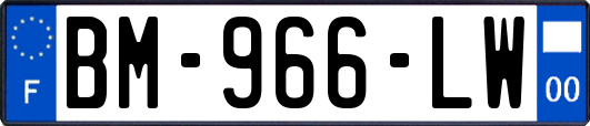 BM-966-LW